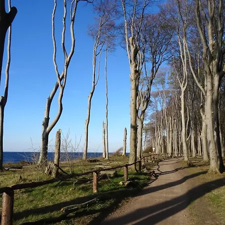 Moewe Im Ostseeidyll Am Waldrand 오스치바드 닌하겐