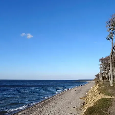 Moewe Im Ostseeidyll Am Waldrand * Nienhagen