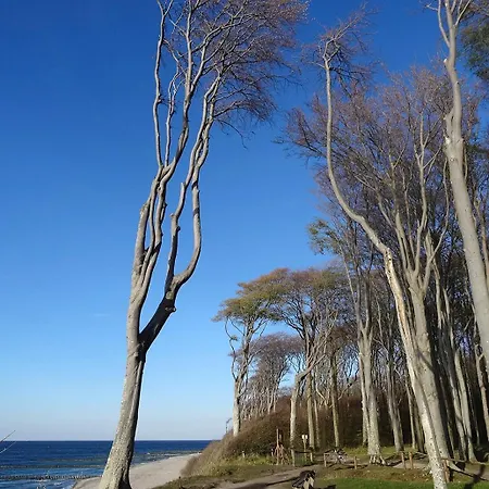 펜션 Moewe Im Ostseeidyll Am Waldrand 오스치바드 닌하겐