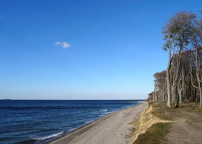 Moewe Im Ostseeidyll Am Waldrand * Nienhagen