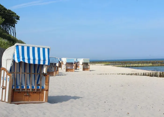 Hébergement de vacances Moewe Im Ostseeidyll Am Waldrand Nienhagen