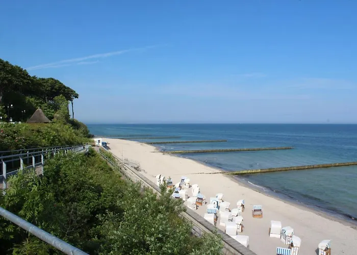 Moewe Im Ostseeidyll Am Waldrand *
